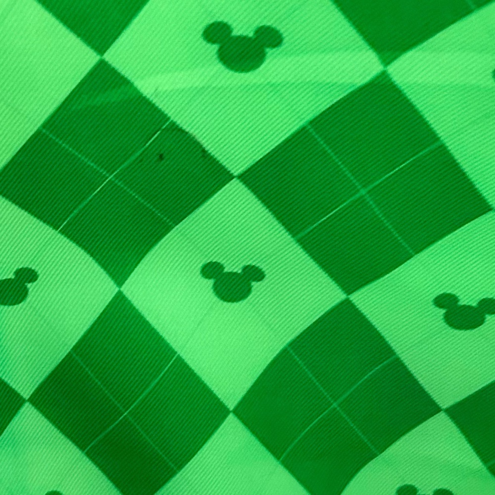 Walt Disney World XL Silver tote - Picture 4 of 10